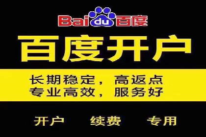 提升转化率：SEM广告投放的实战案例分享